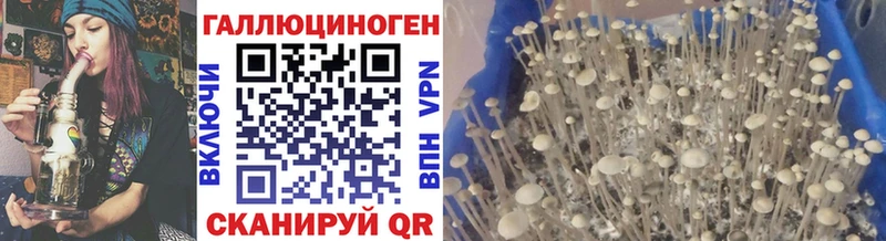 Псилоцибиновые грибы мухоморы  Южноуральск 